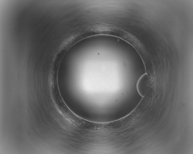 X0000075840732200609151304