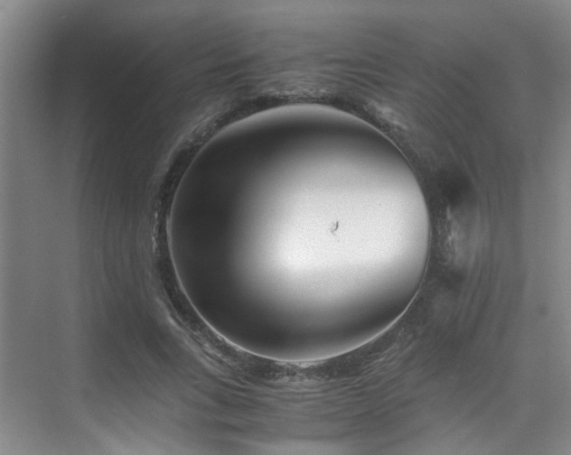 X0000075840735200609151304