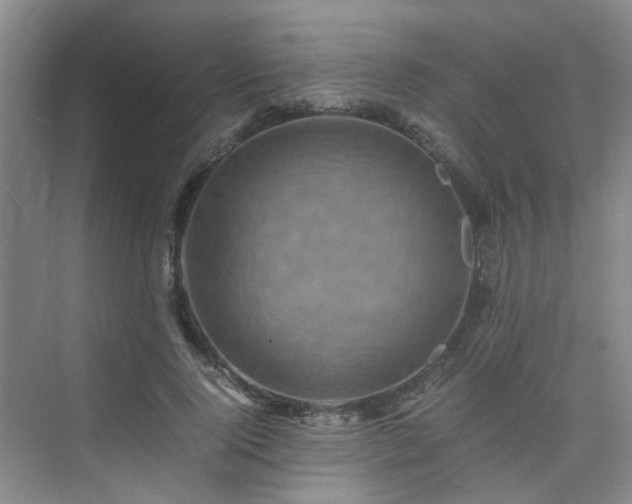 X0000075840740200609151304