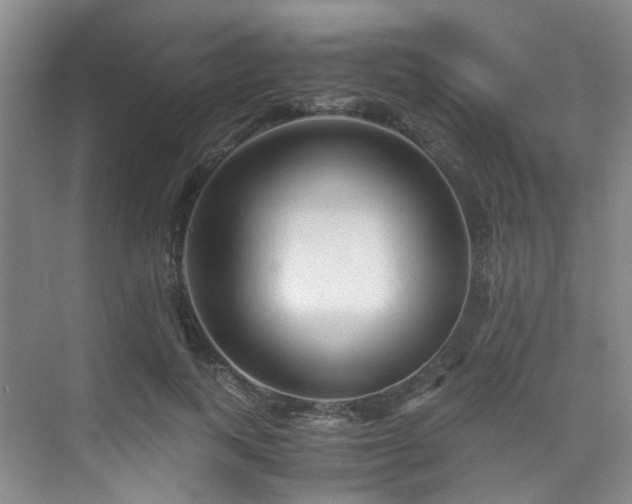 X0000075840743200609151304