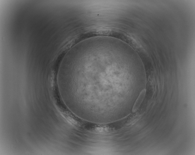 X0000075840744200609151304