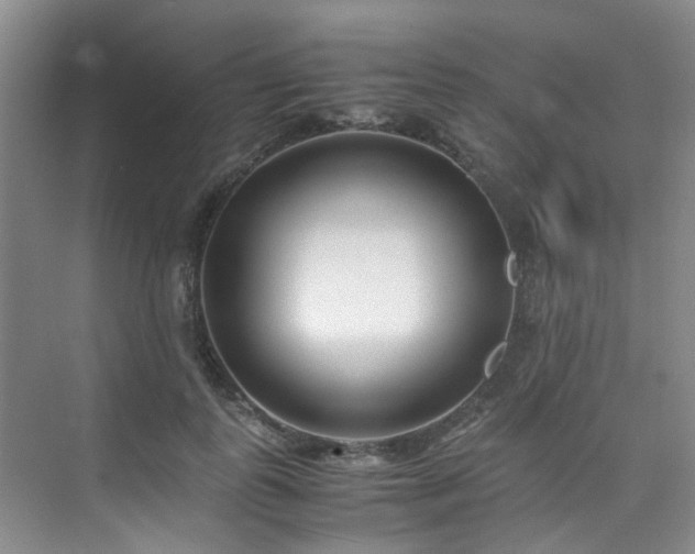 X0000075840747200609151304