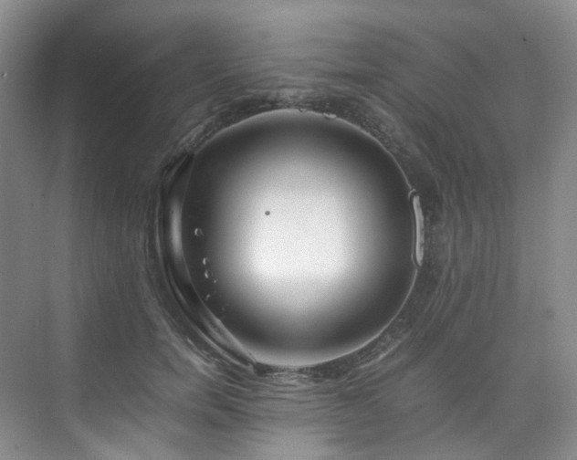 X0000075840750200609151304