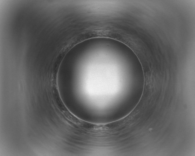 X0000075840752200609151304