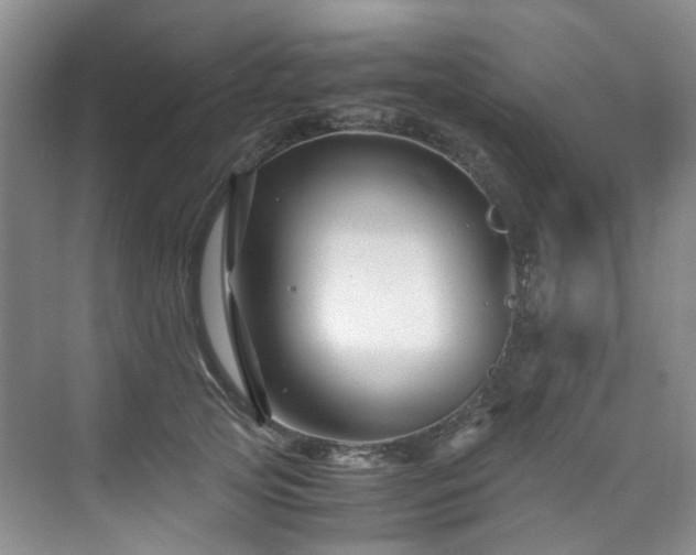 X0000075840753200609151304