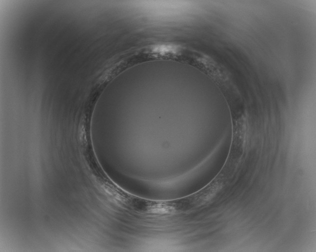 X0000075840754200609151304