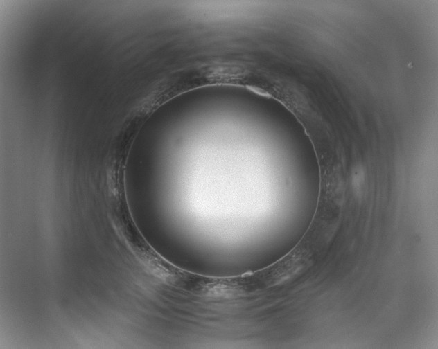 X0000075840755200609151304