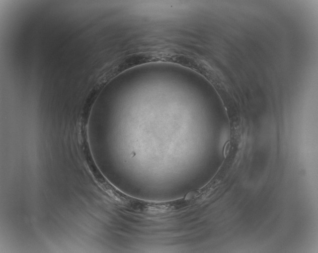 X0000075840757200609151304