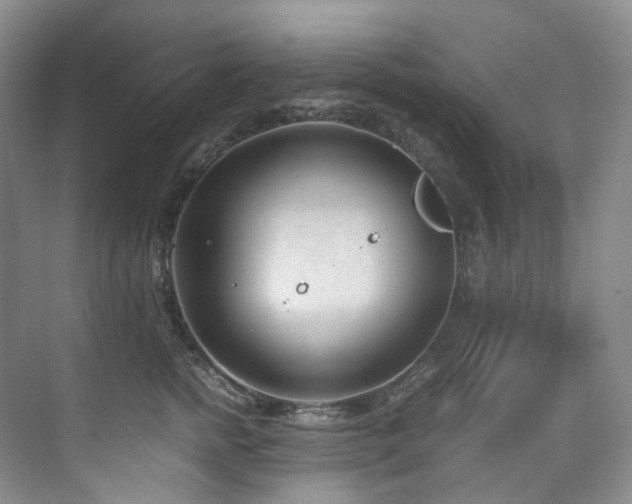 X0000075840758200609151304