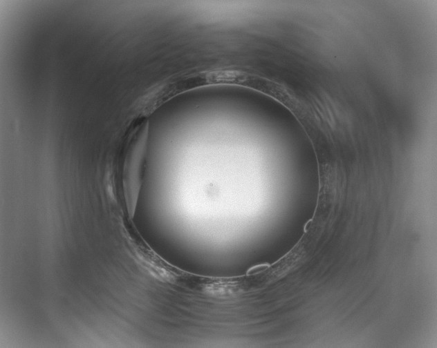 X0000075840761200609151304