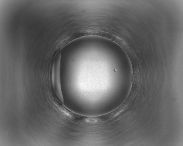 X0000075840762200609151304