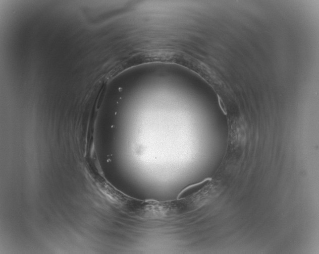 X0000075840764200609151304