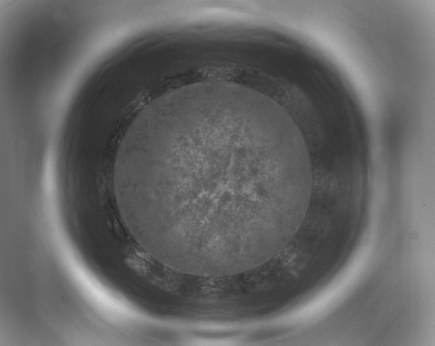 X0000075840765200609151304