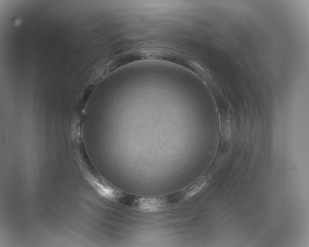 X0000075840766200609151304