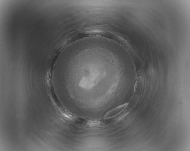 X0000075840767200609151304