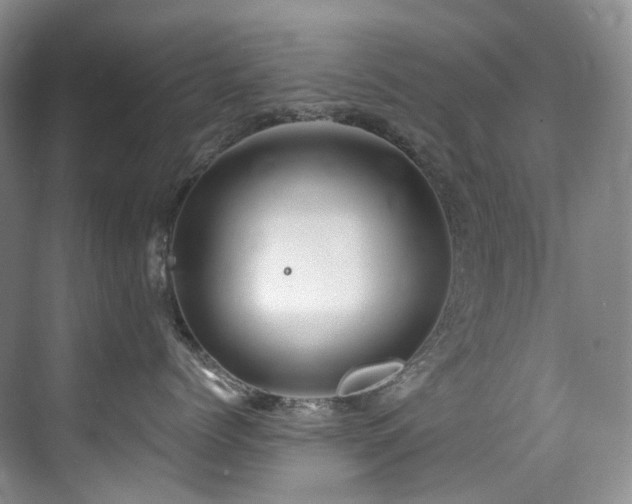 X0000075840768200609151304