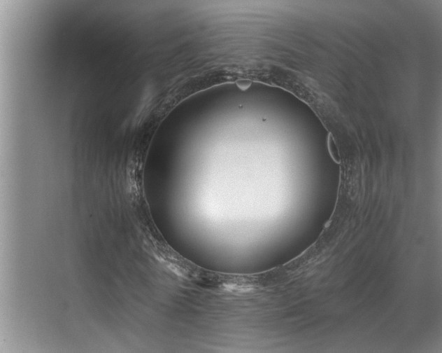 X0000075840770200609151303