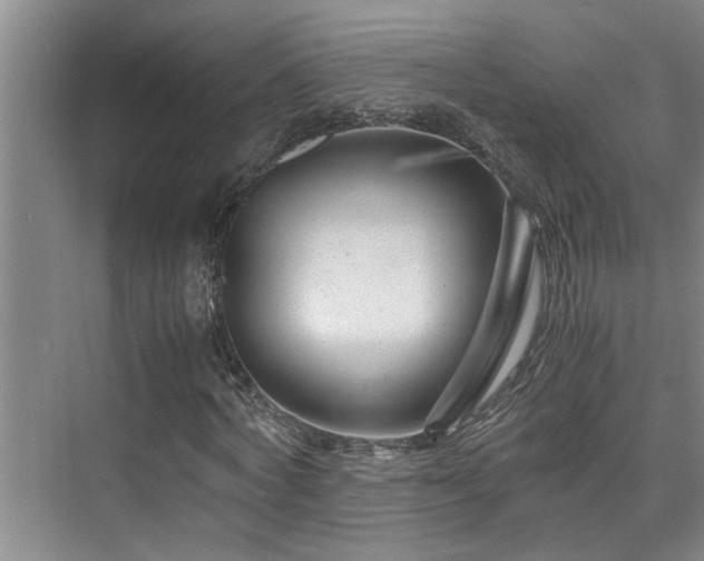 X0000075840772200609151303