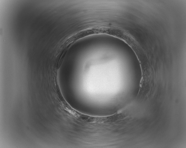 X0000075840773200609151303