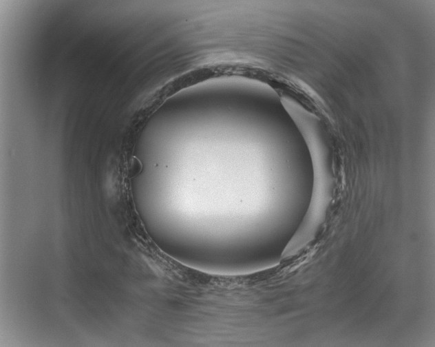 X0000075840775200609151303