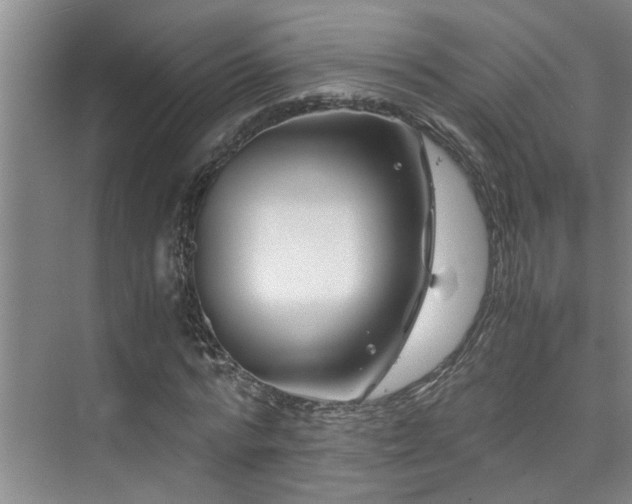 X0000075840776200609151303