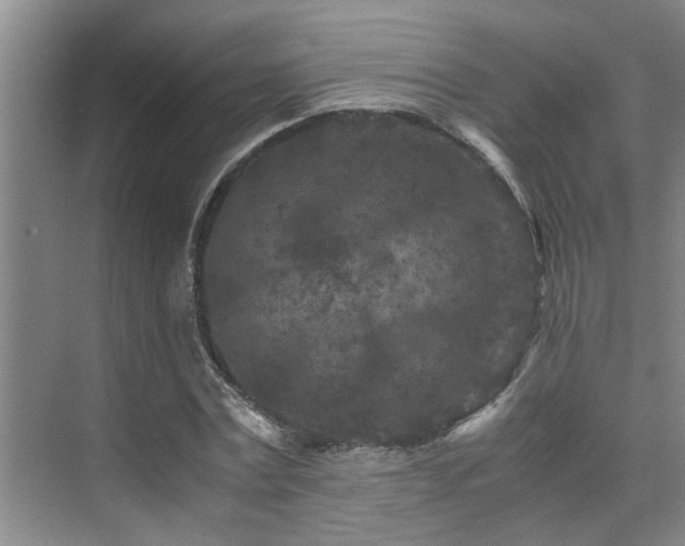 X0000075840779200609151303