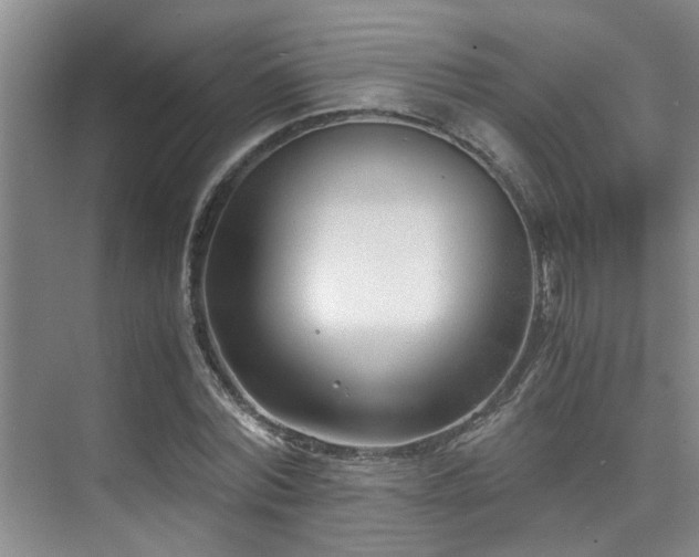 X0000075840780200609151303