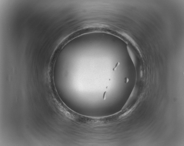 X0000075840783200609151303