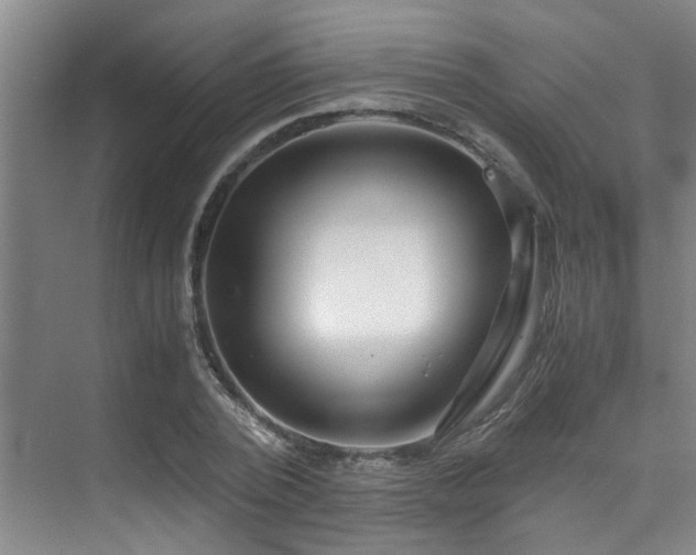 X0000075840784200609151303