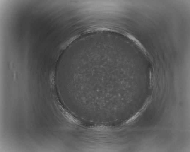 X0000075840785200609151303