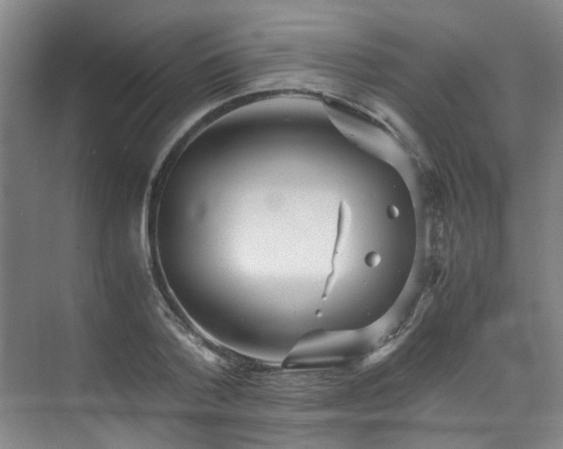 X0000075840788200609151303