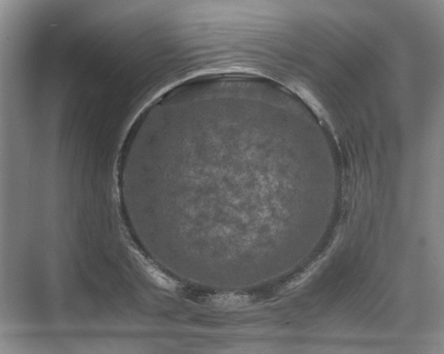 X0000075840789200609151303