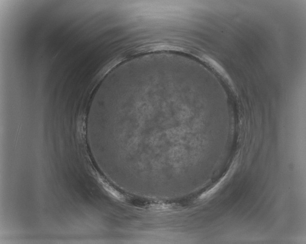 X0000075840793200609151303