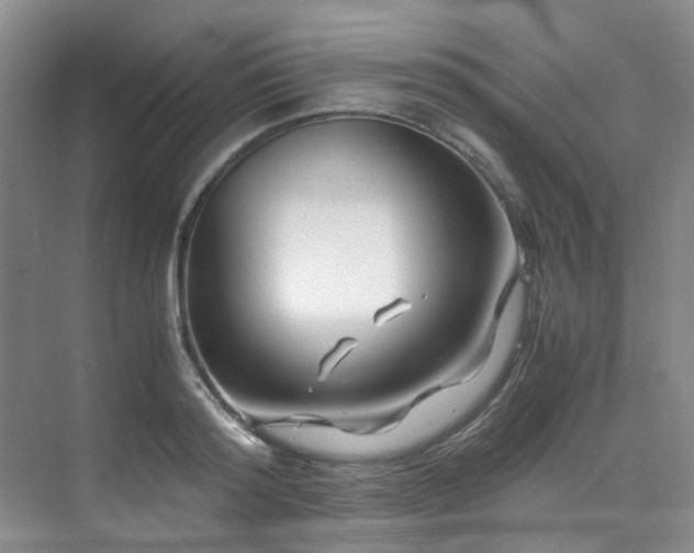 X0000075840796200609151303