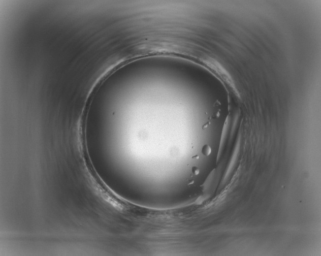 X0000075840798200609151303