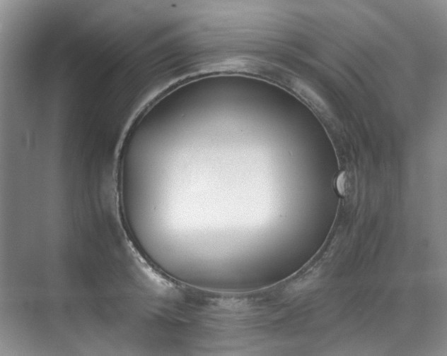 X0000075840800200609151303