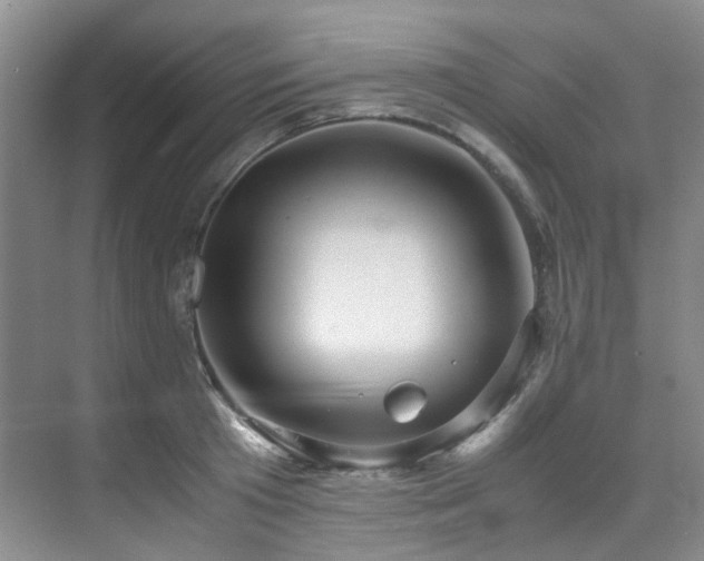 X0000075840801200609151303