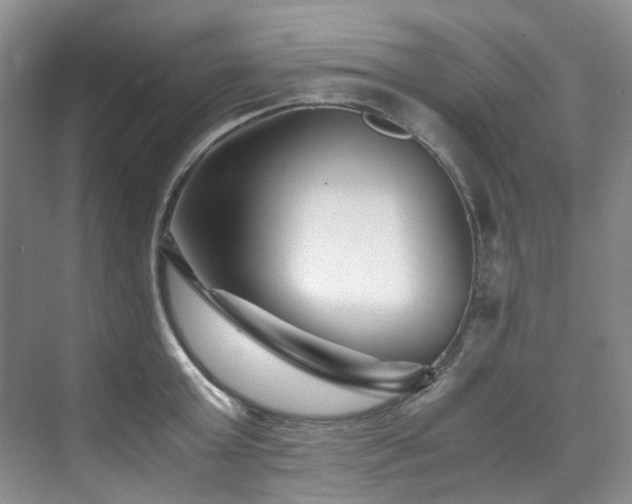 X0000075840803200609151303