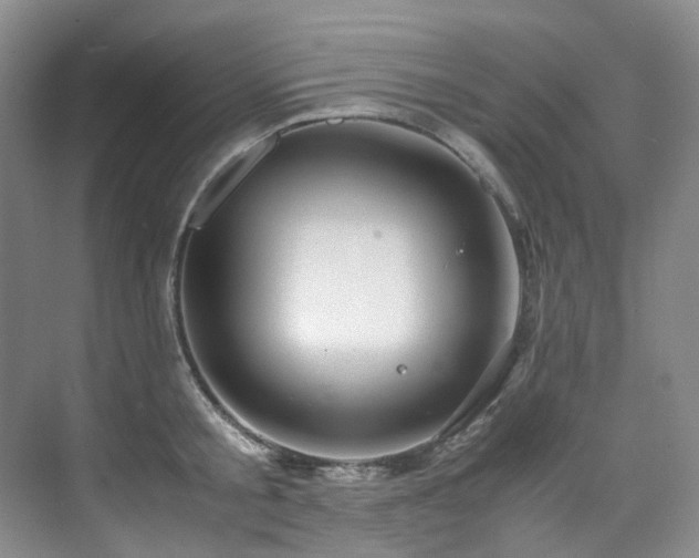 X0000075840805200609151303