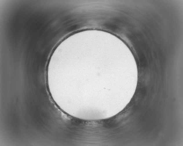 X0000075840807200609151303