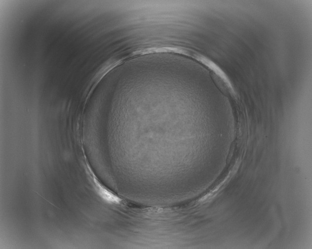 X0000075840809200609151303