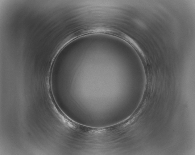 X0000075840810200609151303