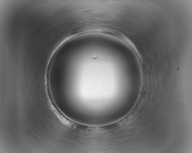 X0000075840811200609151303