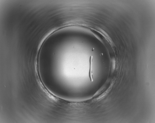 X0000075840812200609151303