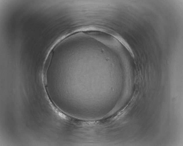 X0000075840813200609151303