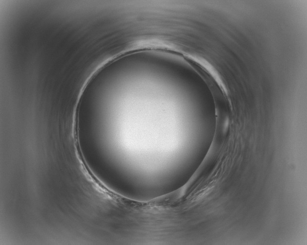 X0000075840815200609151303