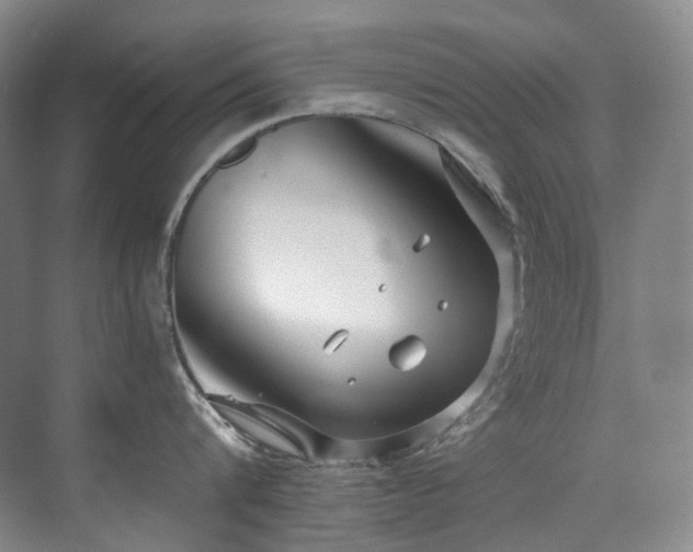 X0000075840816200609151303