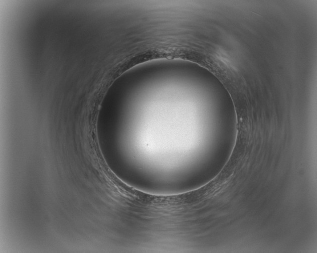 X0000075840817200609151302