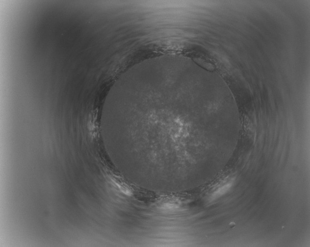 X0000075840818200609151302