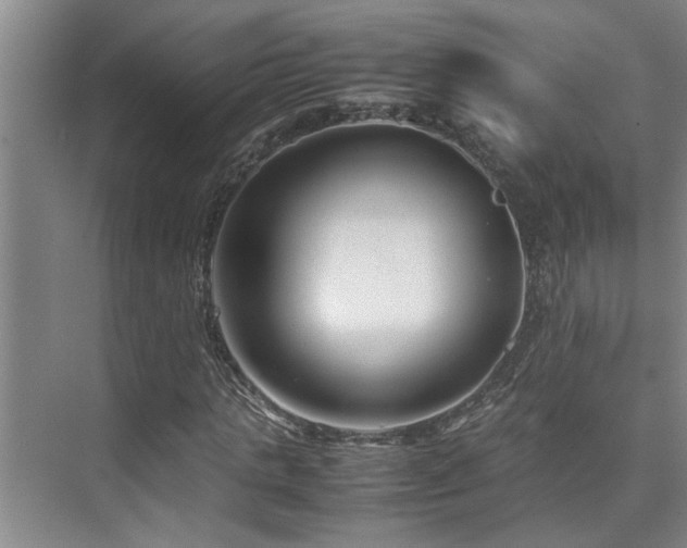 X0000075840821200609151302